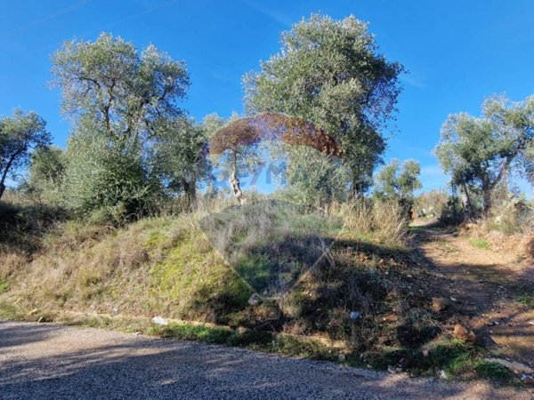 terreno agricolo in vendita a Vieste