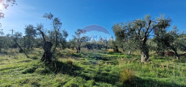 terreno agricolo in vendita a Vieste