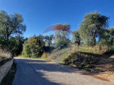 terreno agricolo in vendita a Vieste