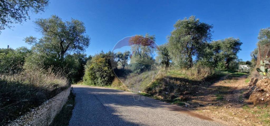 terreno agricolo in vendita a Vieste