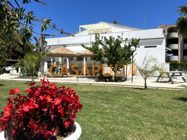 casa indipendente in vendita a Vieste