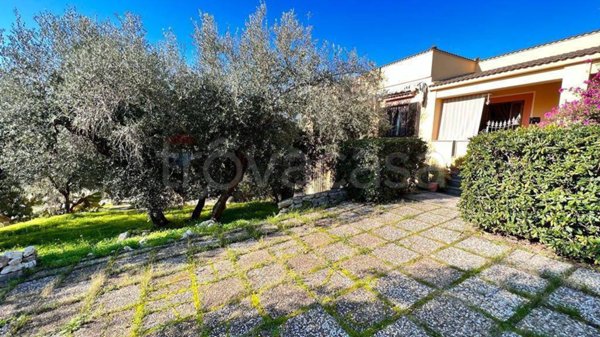 casa indipendente in vendita a Vieste