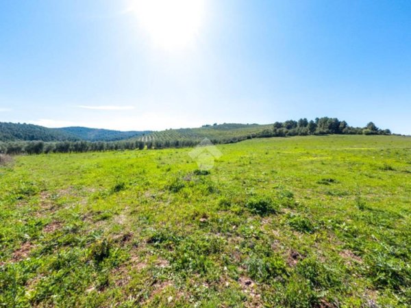 terreno agricolo in vendita a Vieste