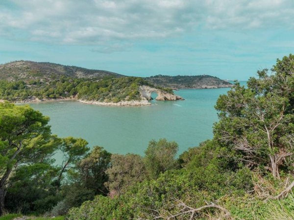 appartamento in vendita a Vieste