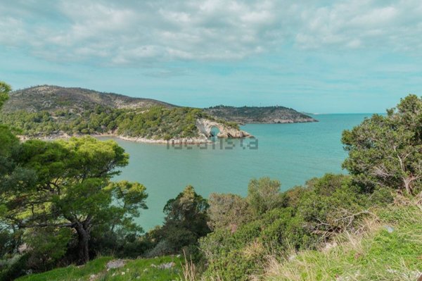 pentavano in vendita a Vieste