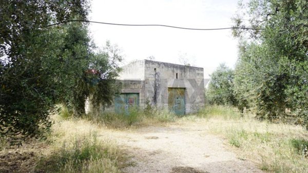 casa indipendente in vendita a Vieste
