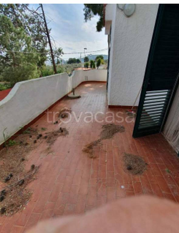 negozio in vendita a Vieste