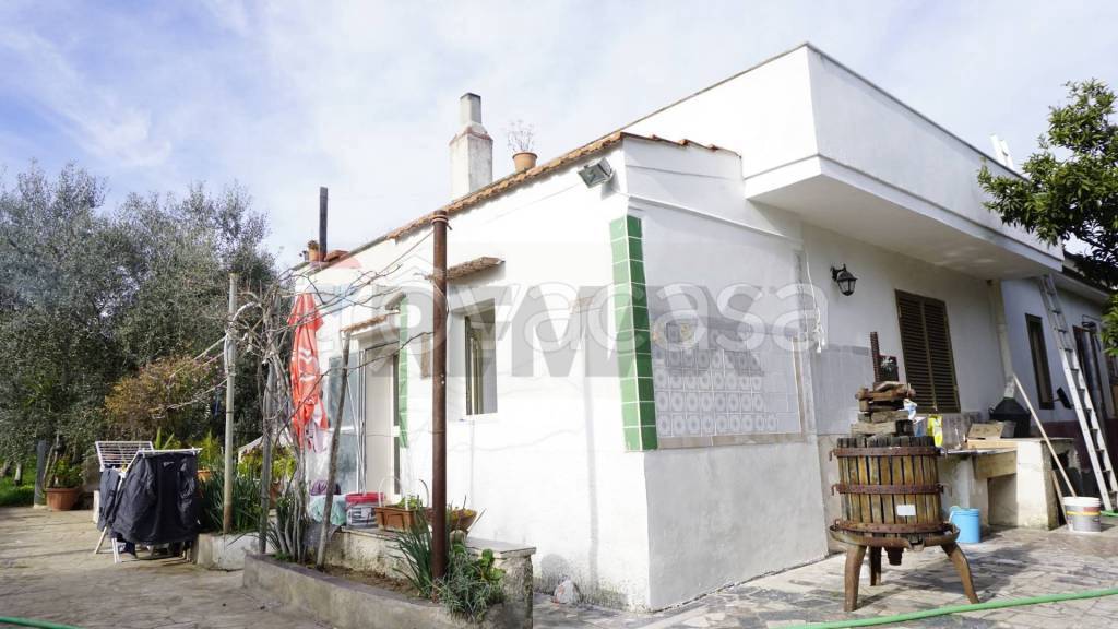 casa indipendente in vendita a Vieste in zona Pugnochiuso