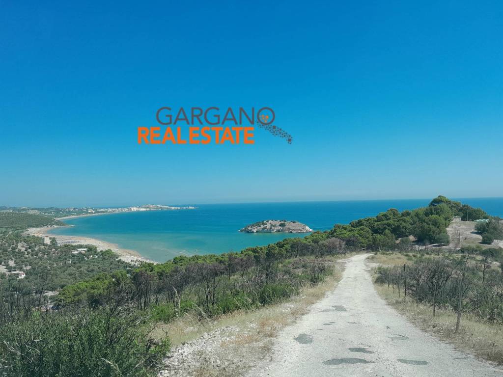 terreno agricolo in vendita a Vieste