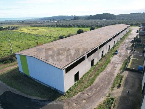 negozio in vendita a Vieste