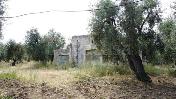 casa indipendente in vendita a Vieste in zona Pugnochiuso