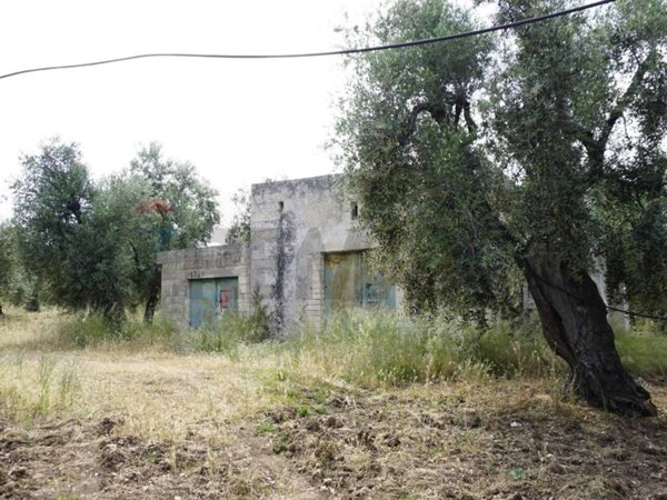 casale in vendita a Vieste in zona Pugnochiuso
