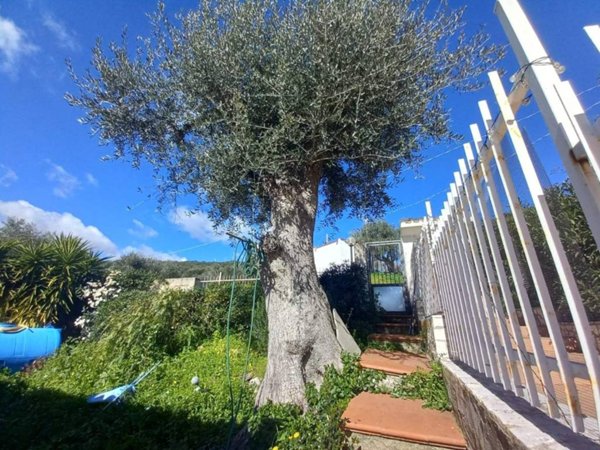 casa indipendente in vendita a Vieste
