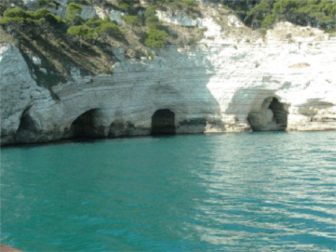 casa indipendente in vendita a Vieste