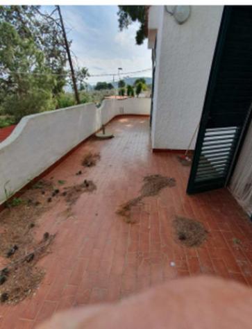 pentavano in vendita a Vieste