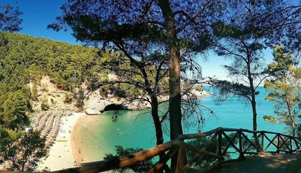 appartamento in vendita a Vieste in zona Pugnochiuso