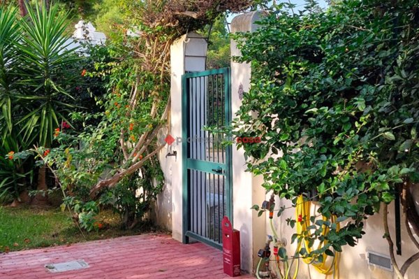 casa indipendente in vendita a Vieste