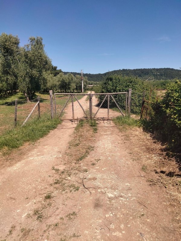 casa indipendente in vendita a Vieste