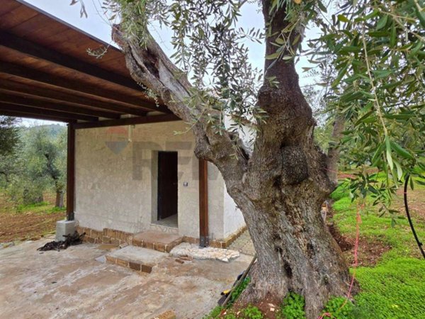 casa indipendente in vendita a Vieste in zona Pugnochiuso