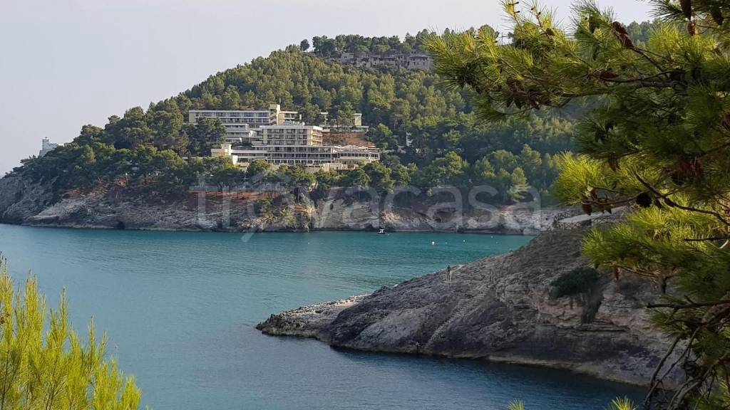 multiproprieta in vendita a Vieste in zona Pugnochiuso