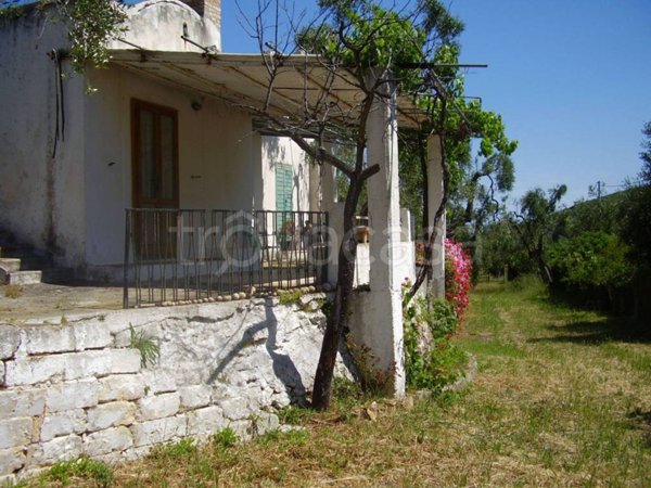 appartamento in vendita a Vieste in zona Pugnochiuso