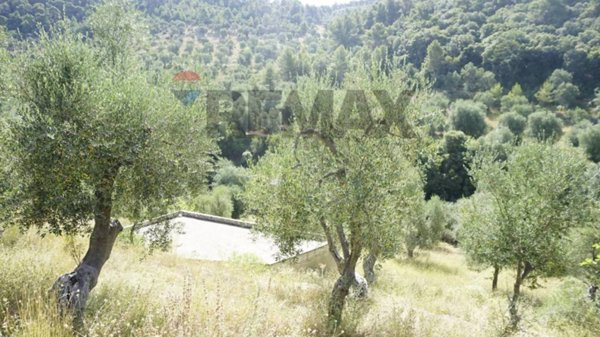 casa indipendente in vendita a Vieste in zona Pugnochiuso