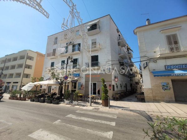 appartamento in vendita a Vieste