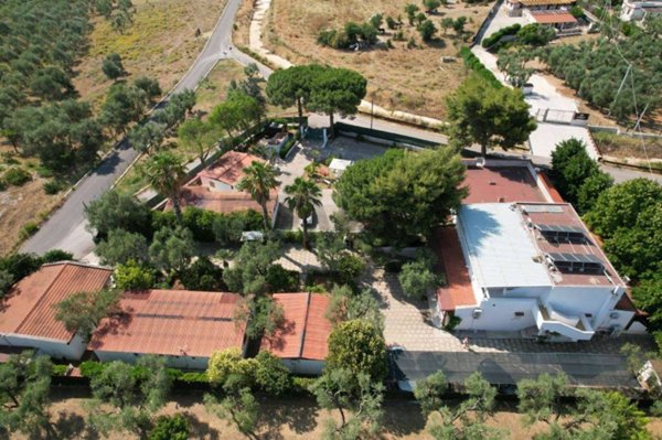 casa indipendente in vendita a Vieste