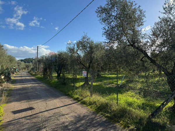 terreno agricolo in vendita a Vieste in zona Pugnochiuso