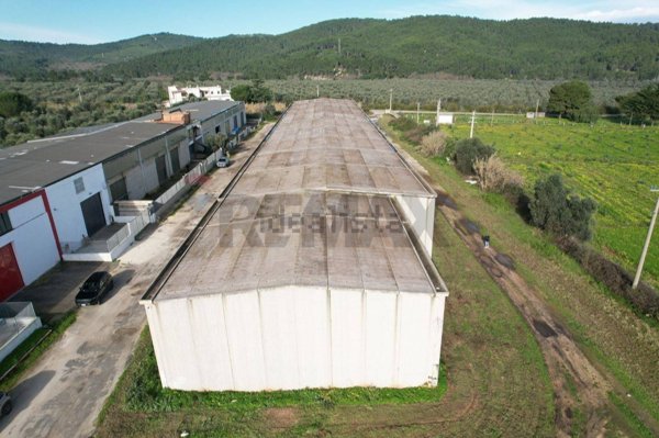 capannone in vendita a Vieste in zona Pugnochiuso