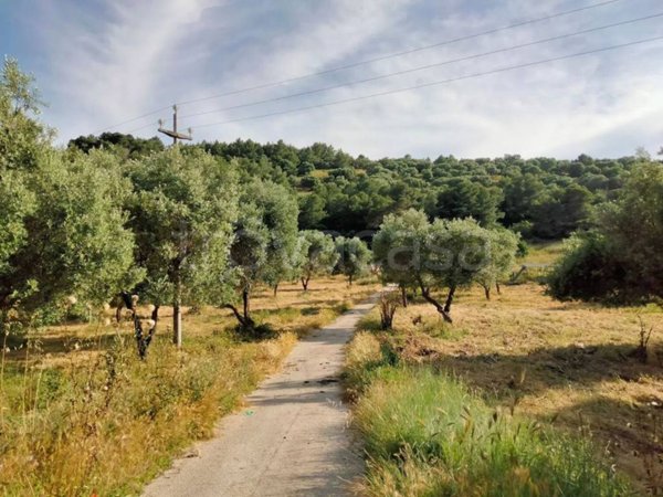 terreno agricolo in vendita a Vieste