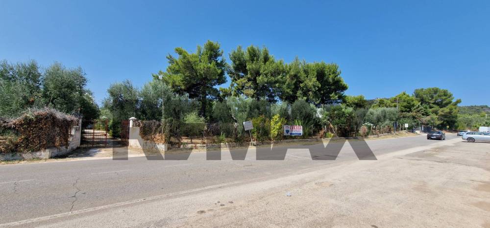 casa indipendente in vendita a Vieste