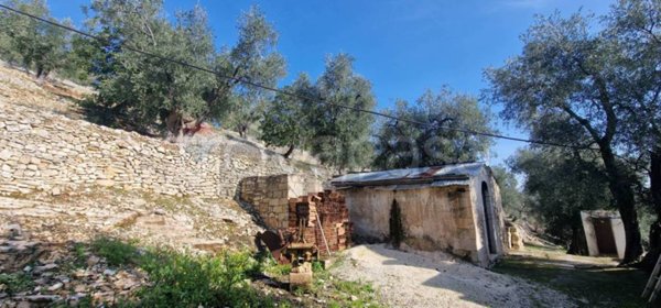 terreno agricolo in vendita a Vieste in zona Pugnochiuso