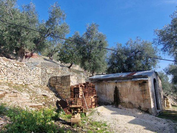 terreno agricolo in vendita a Vieste in zona Pugnochiuso