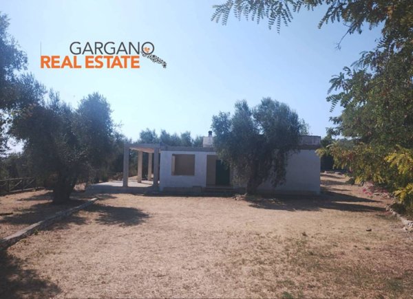casa indipendente in vendita a Vieste in zona Pugnochiuso