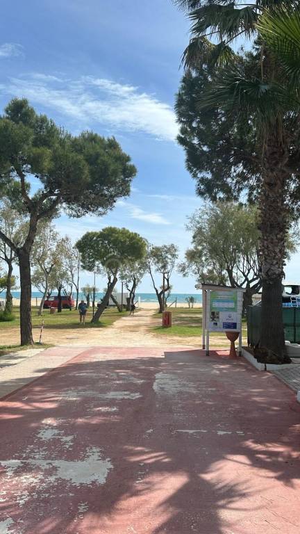 negozio in vendita a Vieste