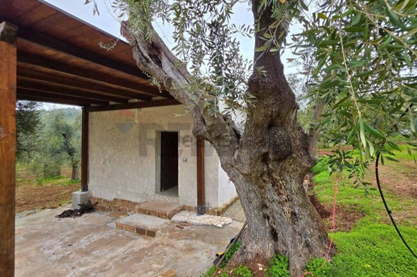 casa indipendente in vendita a Vieste in zona Pugnochiuso