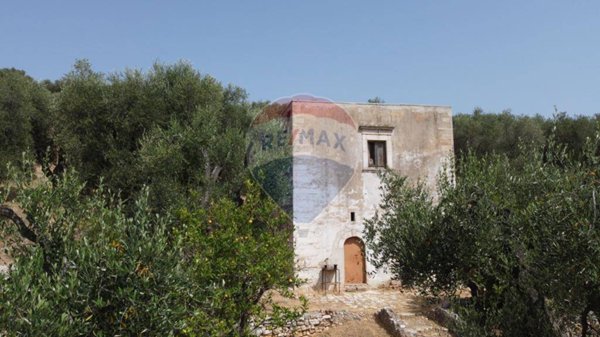 terreno agricolo in vendita a Vieste in zona Pugnochiuso