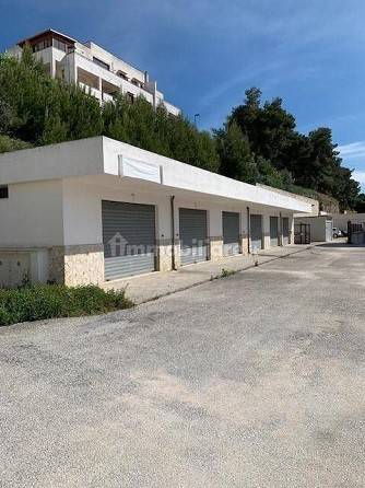 box auto in vendita a Vieste