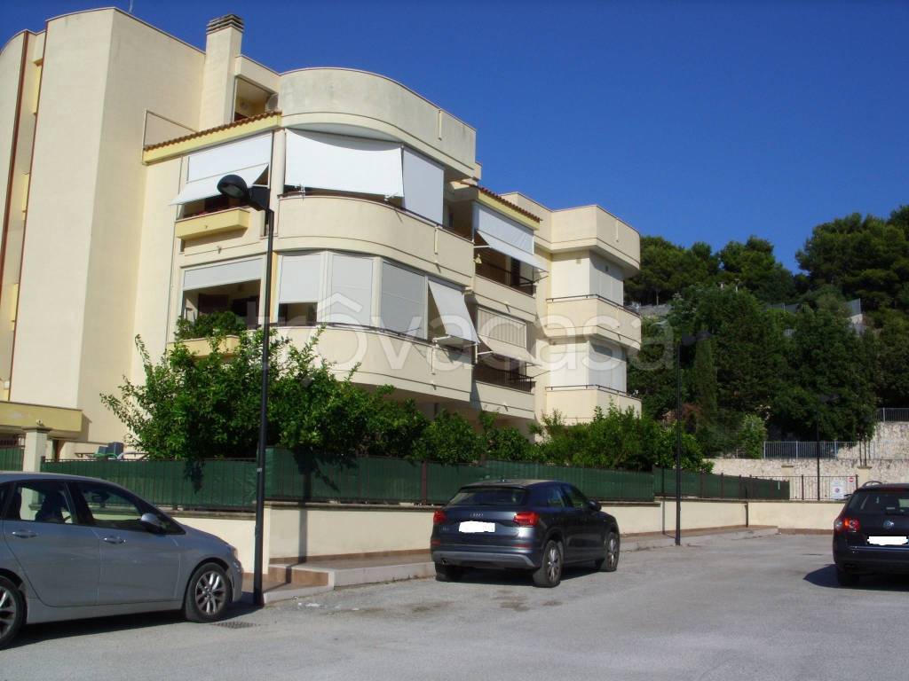 box auto in vendita a Vieste