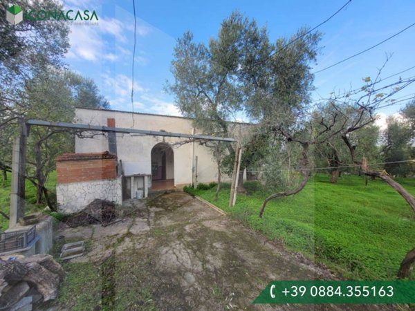 casa indipendente in vendita a Vieste in zona Pugnochiuso