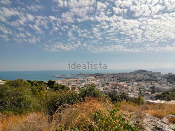 terreno in vendita a Vieste