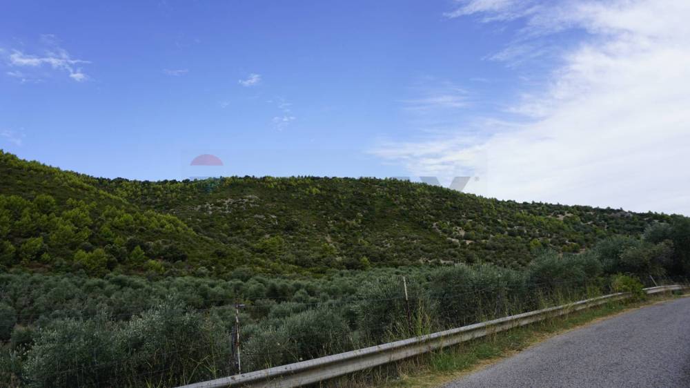terreno agricolo in vendita a Vieste in zona Pugnochiuso