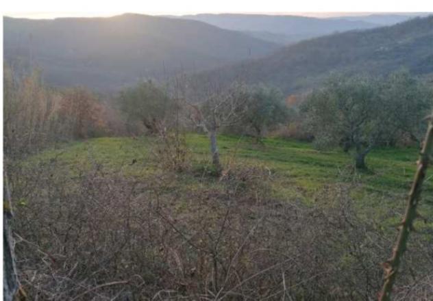 immagine annuncio 0 di 1