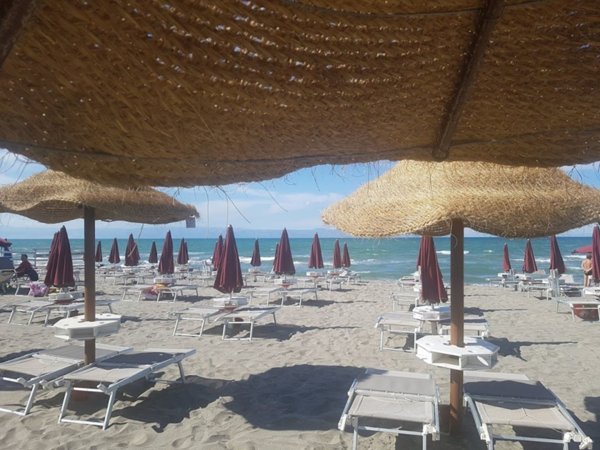 negozio in vendita a Zapponeta