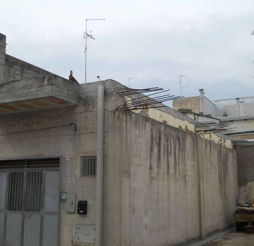 appartamento in vendita ad Acquaviva delle Fonti