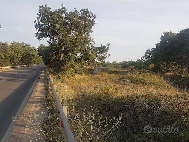 terreno agricolo in vendita ad Acquaviva delle Fonti