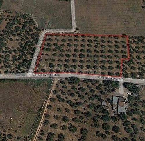terreno agricolo in vendita ad Acquaviva delle Fonti