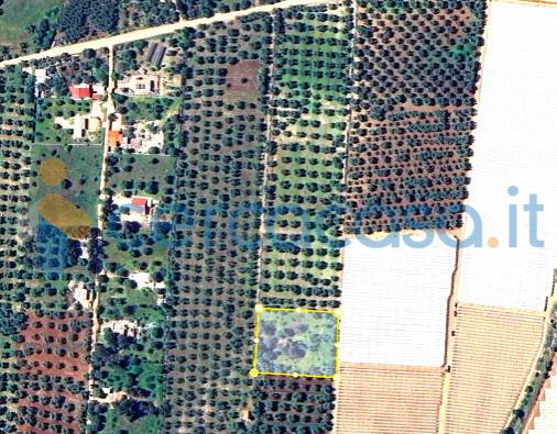 terreno agricolo in vendita ad Acquaviva delle Fonti