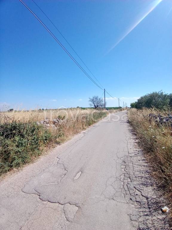 terreno agricolo in vendita ad Acquaviva delle Fonti